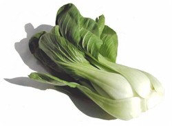 babybokchoy_250.jpg