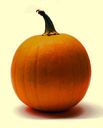 pumpkin copy.gif