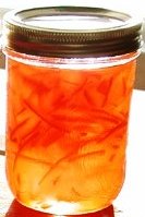 marmalade_2004b.jpg