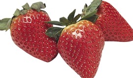 strawberries-271.jpe